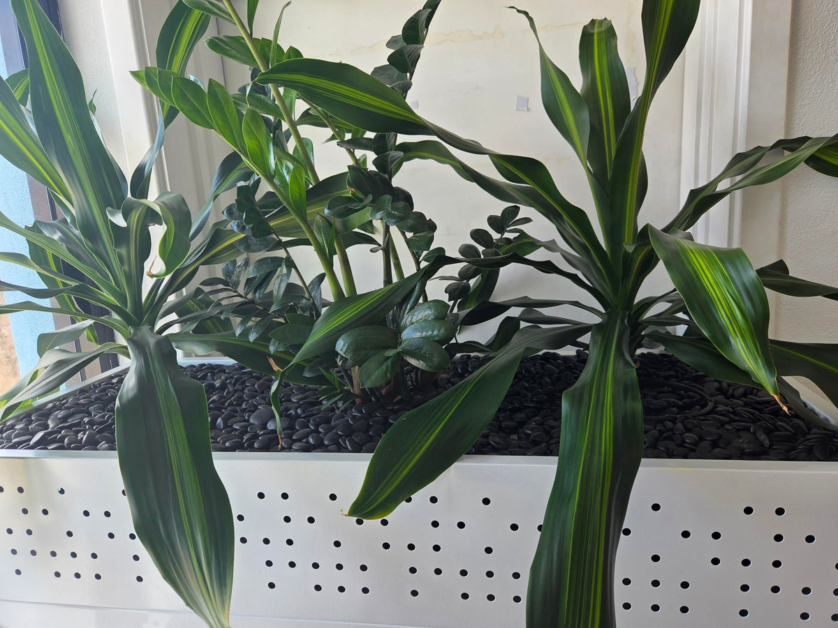 Nitro Steel Planter Box