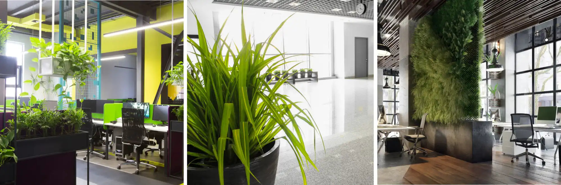 Ready to Greenify Your Office?