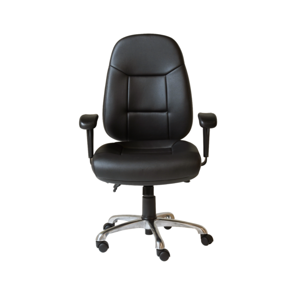 Argus Executive Office Chair