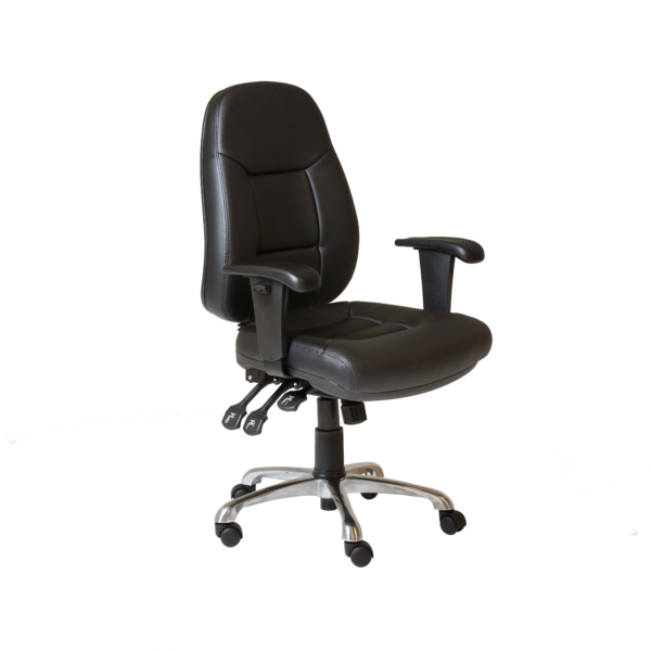 Argus Executive Office Chair