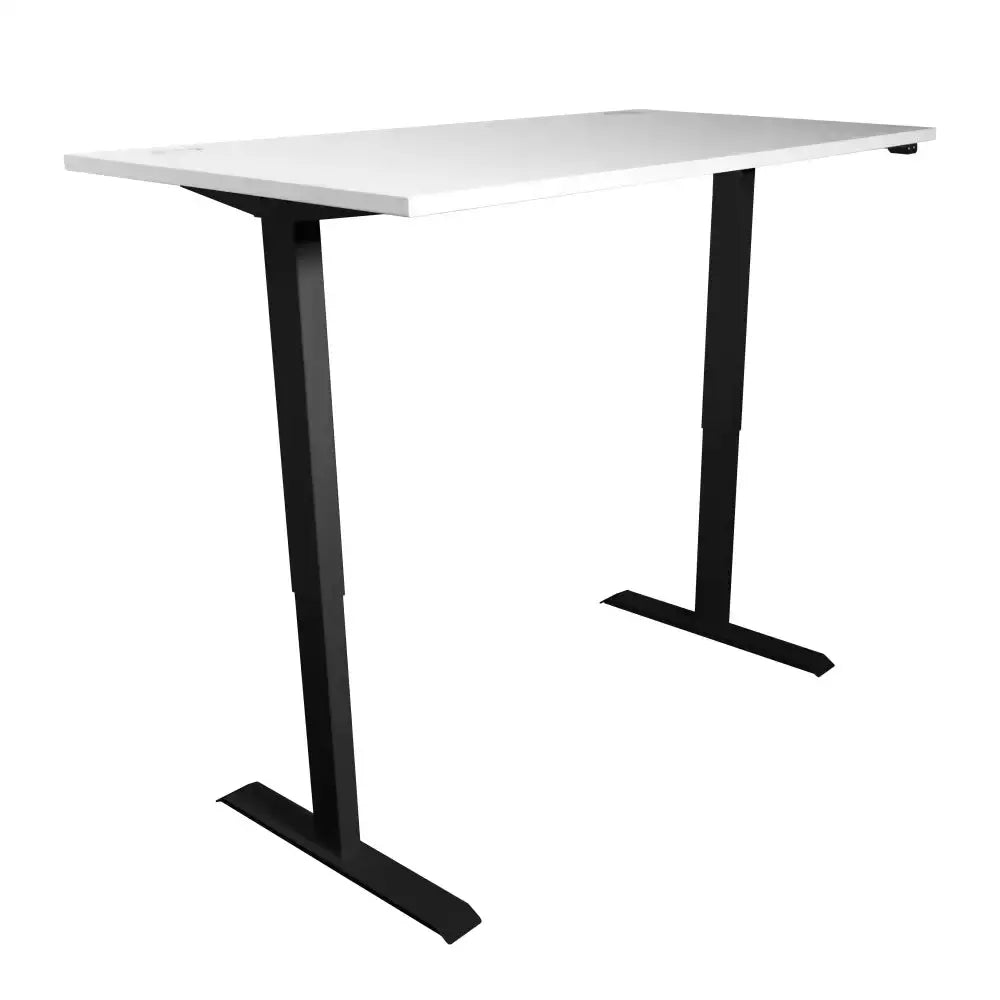 Rise Electric Sit Stand Office Desk