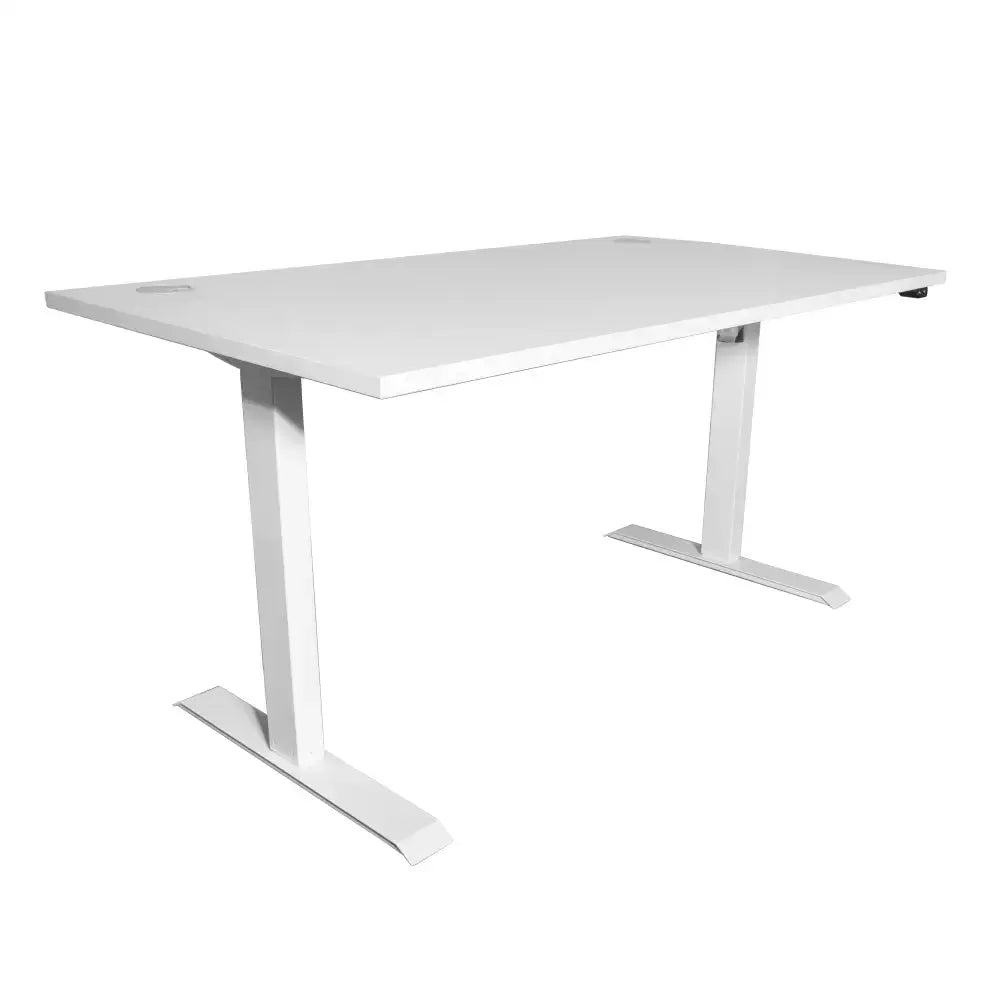 Rise Electric Sit Stand Office Desk
