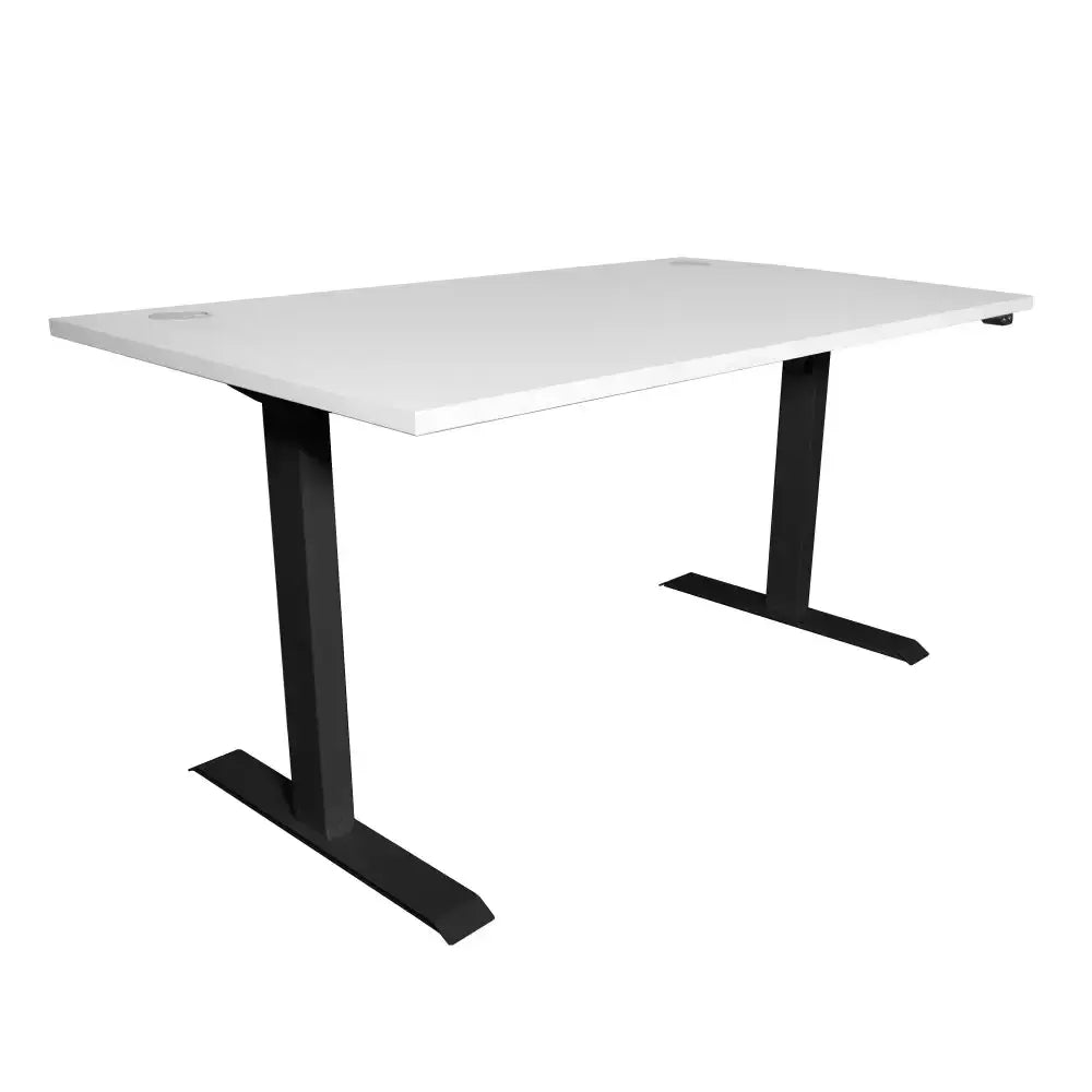 Rise Electric Sit Stand Office Desk