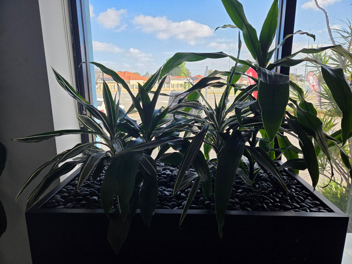 Nitro Steel Planter Box 
