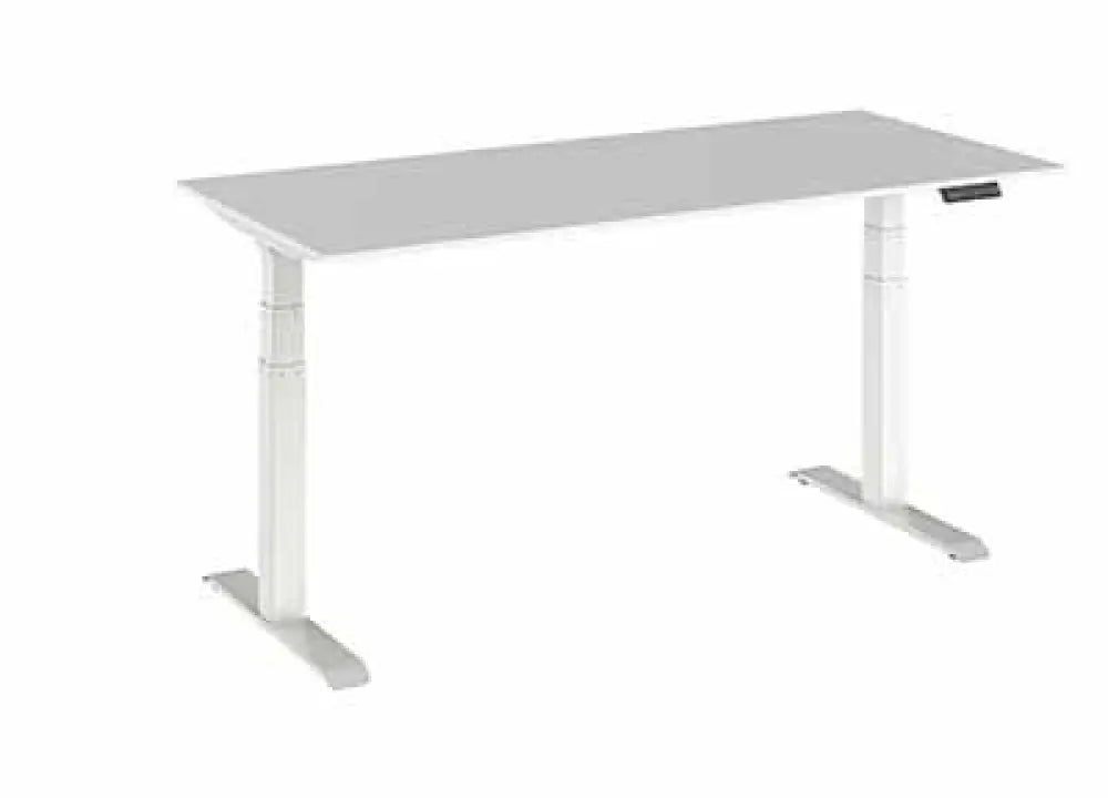 Premium Sit Stand Office Desk
