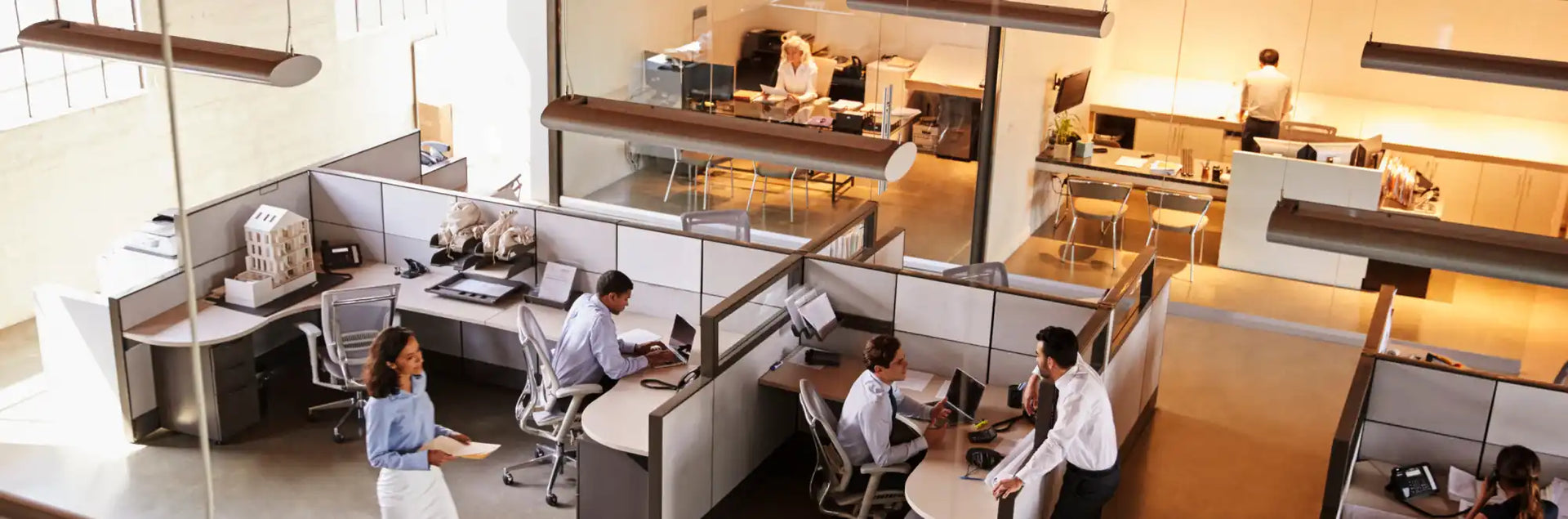Professional Office Partitions & Dividers Perth