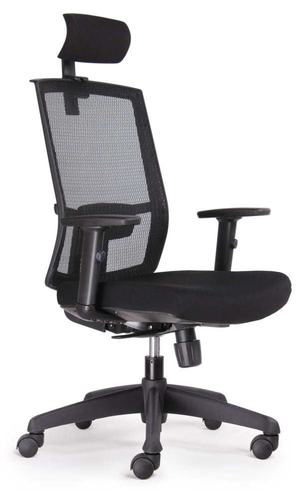 Ultimo Executive Office Chair